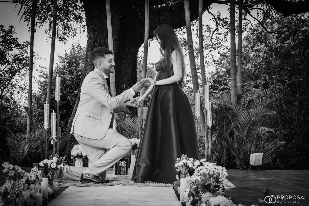 Proposal Bliss